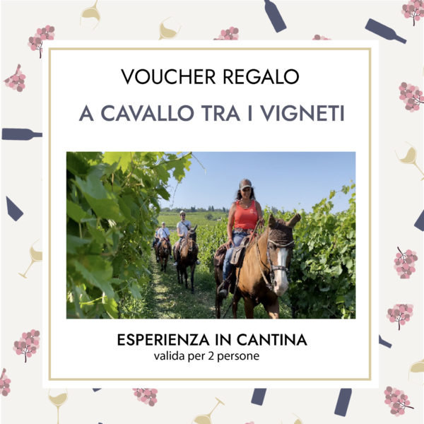 VOUCHER REGALO: A CAVALLO TRA I VIGNETI